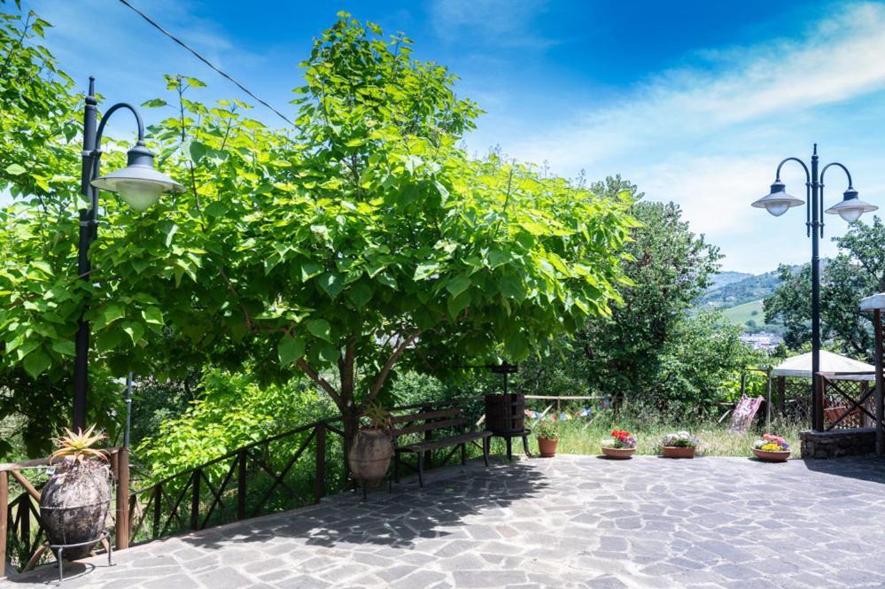 Antico Casale - Camere Con Angolo Cottura Agropoli Eksteriør bilde